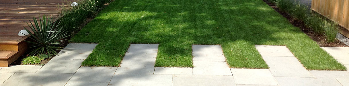 front yard