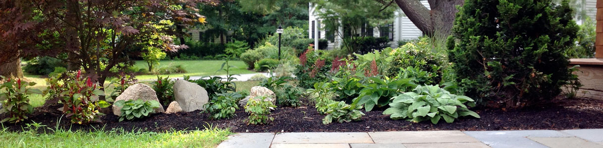 front yard
