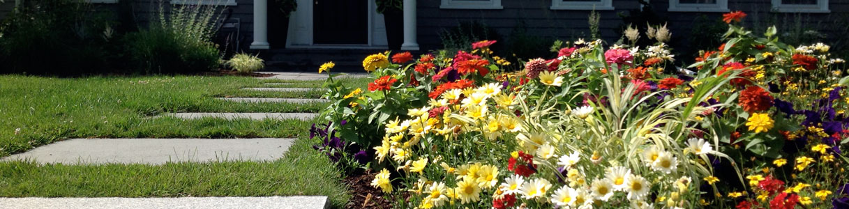 front yard
